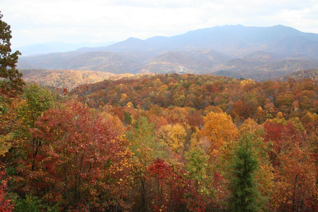 The Foxtrot Bed And Breakfast Gatlinburg Bagian luar foto